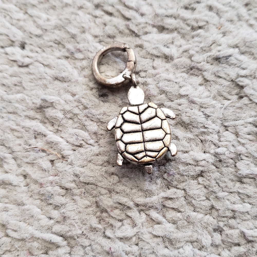 Fossil Silver Multicolor Turtle Charm - image 4